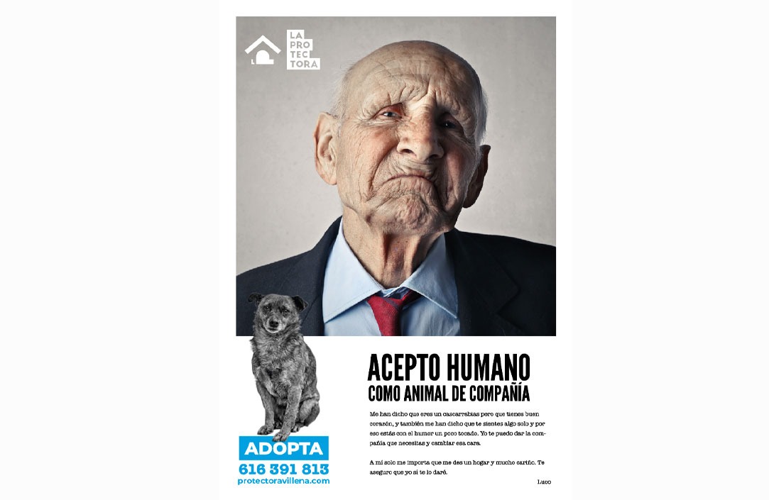 Campañas de marketing, publicidad y comunicación