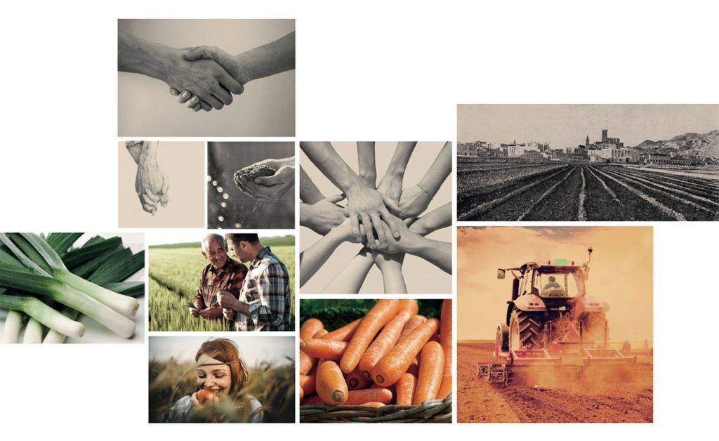 Moodboard y proceso creativo